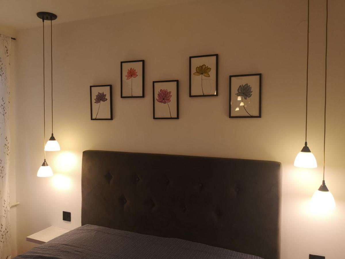 Apartman Darvin / Lux Beograd Bagian luar foto