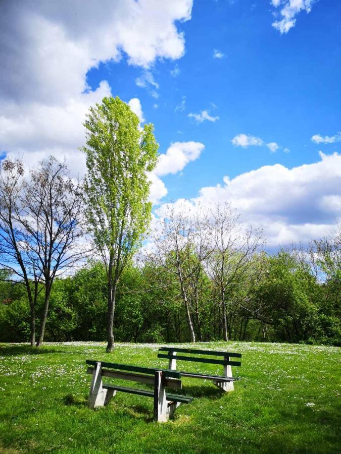 Apartman Darvin / Lux Beograd Bagian luar foto